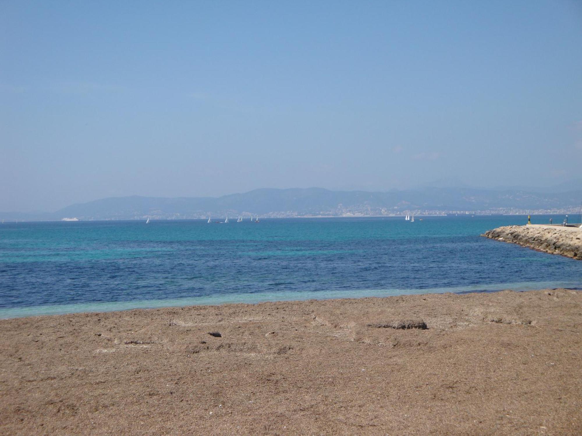 Son Veri Villas El Arenal  Exteriör bild